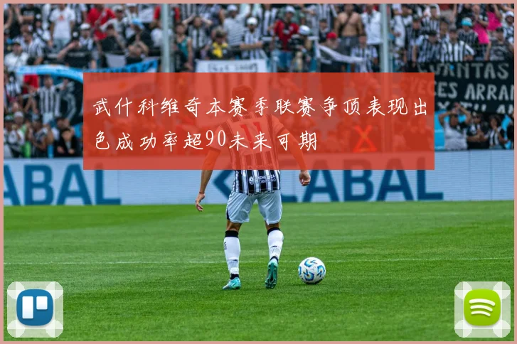 武什科维奇本赛季联赛争顶表现出色成功率超90未来可期