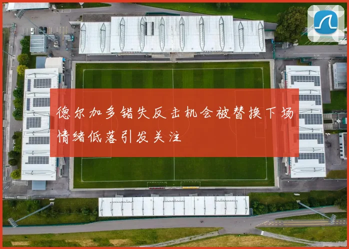 德尔加多错失反击机会被替换下场情绪低落引发关注